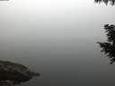 ./images/koeye/fitz-hugh/20200914/fitz-hugh20200914_071002.jpg