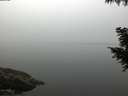 ./images/koeye/fitz-hugh/20200914/fitz-hugh20200914_071502.jpg