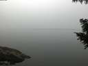 ./images/koeye/fitz-hugh/20200914/fitz-hugh20200914_072002.jpg