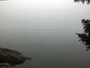 ./images/koeye/fitz-hugh/20200914/fitz-hugh20200914_072502.jpg