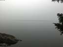 ./images/koeye/fitz-hugh/20200914/fitz-hugh20200914_073002.jpg