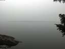 ./images/koeye/fitz-hugh/20200914/fitz-hugh20200914_073502.jpg