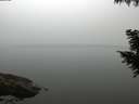 ./images/koeye/fitz-hugh/20200914/fitz-hugh20200914_074002.jpg