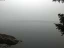 ./images/koeye/fitz-hugh/20200914/fitz-hugh20200914_074501.jpg