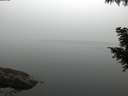 ./images/koeye/fitz-hugh/20200914/fitz-hugh20200914_075001.jpg