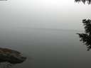./images/koeye/fitz-hugh/20200914/fitz-hugh20200914_075501.jpg
