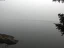 ./images/koeye/fitz-hugh/20200914/fitz-hugh20200914_080001.jpg