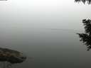 ./images/koeye/fitz-hugh/20200914/fitz-hugh20200914_080501.jpg