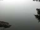 ./images/koeye/fitz-hugh/20200914/fitz-hugh20200914_081001.jpg
