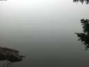 ./images/koeye/fitz-hugh/20200914/fitz-hugh20200914_081501.jpg