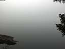 ./images/koeye/fitz-hugh/20200914/fitz-hugh20200914_082001.jpg