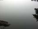 ./images/koeye/fitz-hugh/20200914/fitz-hugh20200914_082501.jpg