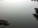 ./images/koeye/fitz-hugh/20200914/fitz-hugh20200914_083001.jpg