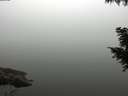 ./images/koeye/fitz-hugh/20200914/fitz-hugh20200914_083501.jpg