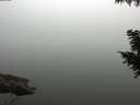 ./images/koeye/fitz-hugh/20200914/fitz-hugh20200914_084001.jpg
