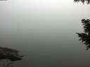 ./images/koeye/fitz-hugh/20200914/fitz-hugh20200914_084501.jpg