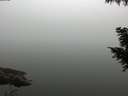 ./images/koeye/fitz-hugh/20200914/fitz-hugh20200914_085001.jpg