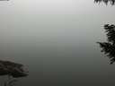 ./images/koeye/fitz-hugh/20200914/fitz-hugh20200914_085501.jpg