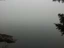 ./images/koeye/fitz-hugh/20200914/fitz-hugh20200914_090001.jpg