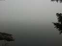 ./images/koeye/fitz-hugh/20200914/fitz-hugh20200914_090501.jpg