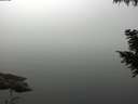 ./images/koeye/fitz-hugh/20200914/fitz-hugh20200914_091501.jpg