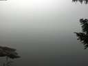 ./images/koeye/fitz-hugh/20200914/fitz-hugh20200914_092001.jpg