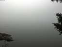 ./images/koeye/fitz-hugh/20200914/fitz-hugh20200914_092501.jpg