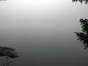 ./images/koeye/fitz-hugh/20200914/fitz-hugh20200914_093002.jpg