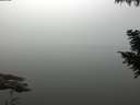 ./images/koeye/fitz-hugh/20200914/fitz-hugh20200914_093501.jpg
