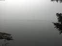 ./images/koeye/fitz-hugh/20200914/fitz-hugh20200914_094001.jpg