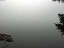 ./images/koeye/fitz-hugh/20200914/fitz-hugh20200914_094501.jpg