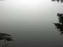 ./images/koeye/fitz-hugh/20200914/fitz-hugh20200914_095002.jpg