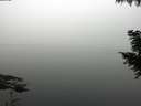 ./images/koeye/fitz-hugh/20200914/fitz-hugh20200914_095502.jpg
