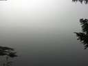 ./images/koeye/fitz-hugh/20200914/fitz-hugh20200914_100002.jpg