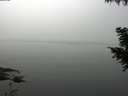 ./images/koeye/fitz-hugh/20200914/fitz-hugh20200914_100502.jpg