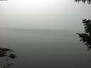 ./images/koeye/fitz-hugh/20200914/fitz-hugh20200914_101002.jpg