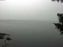 ./images/koeye/fitz-hugh/20200914/fitz-hugh20200914_101502.jpg