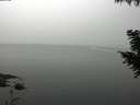 ./images/koeye/fitz-hugh/20200914/fitz-hugh20200914_102002.jpg