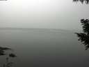 ./images/koeye/fitz-hugh/20200914/fitz-hugh20200914_102502.jpg