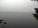 ./images/koeye/fitz-hugh/20200914/fitz-hugh20200914_103002.jpg