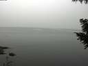 ./images/koeye/fitz-hugh/20200914/fitz-hugh20200914_103502.jpg