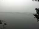 ./images/koeye/fitz-hugh/20200914/fitz-hugh20200914_104002.jpg