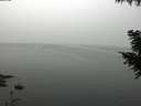 ./images/koeye/fitz-hugh/20200914/fitz-hugh20200914_104502.jpg