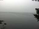 ./images/koeye/fitz-hugh/20200914/fitz-hugh20200914_105002.jpg