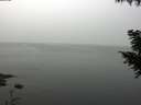 ./images/koeye/fitz-hugh/20200914/fitz-hugh20200914_105501.jpg