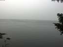 ./images/koeye/fitz-hugh/20200914/fitz-hugh20200914_110001.jpg