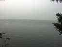 ./images/koeye/fitz-hugh/20200914/fitz-hugh20200914_110501.jpg