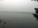 ./images/koeye/fitz-hugh/20200914/fitz-hugh20200914_111001.jpg