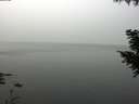 ./images/koeye/fitz-hugh/20200914/fitz-hugh20200914_111501.jpg
