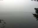 ./images/koeye/fitz-hugh/20200914/fitz-hugh20200914_112001.jpg